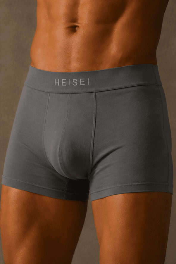 Model wearing HEISEI Kure Slate Boxer Brief